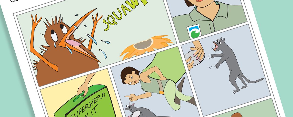 Doc Whina Illustration New Zealand