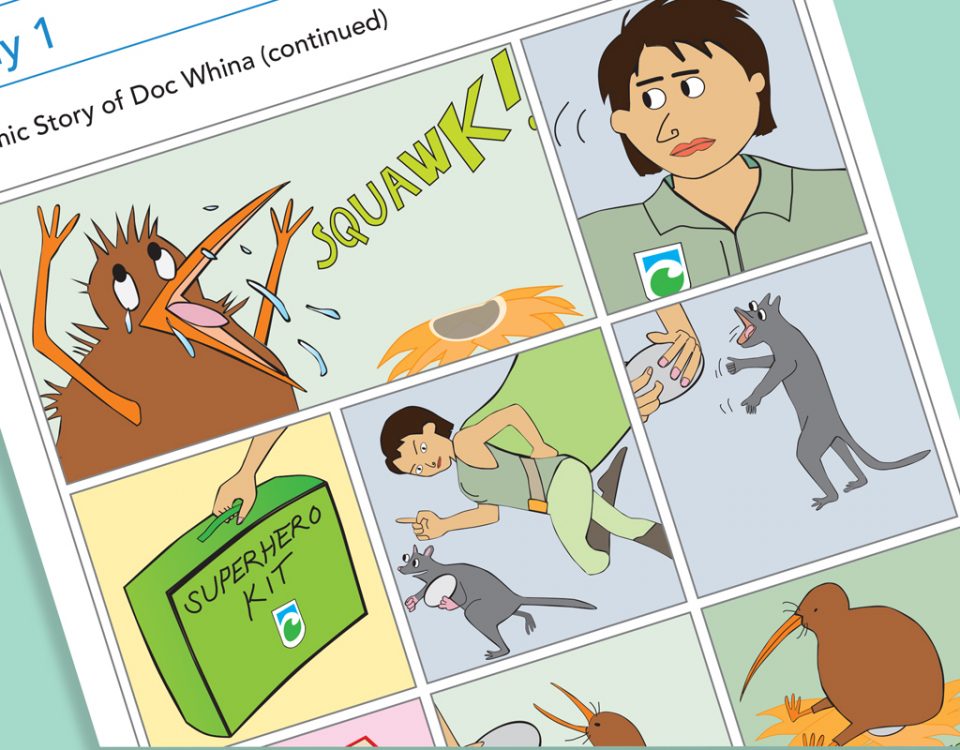 Doc Whina Illustration New Zealand