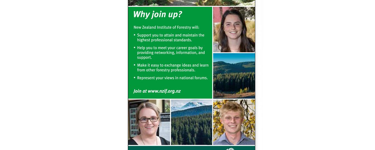 Promotional Banner, NZIF