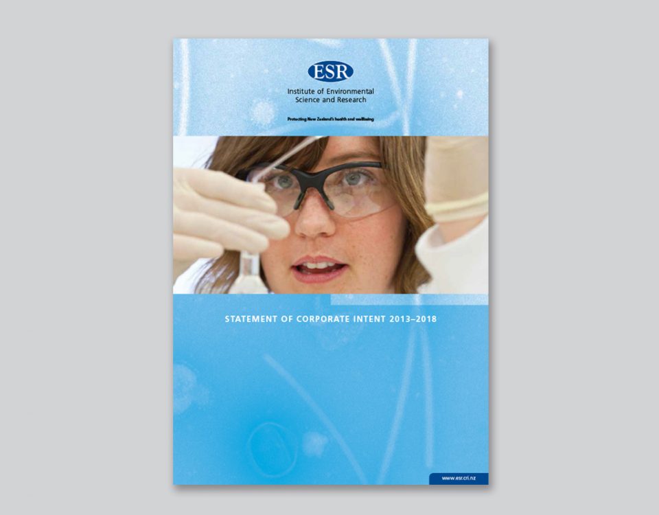 Statement of Corporate Intent