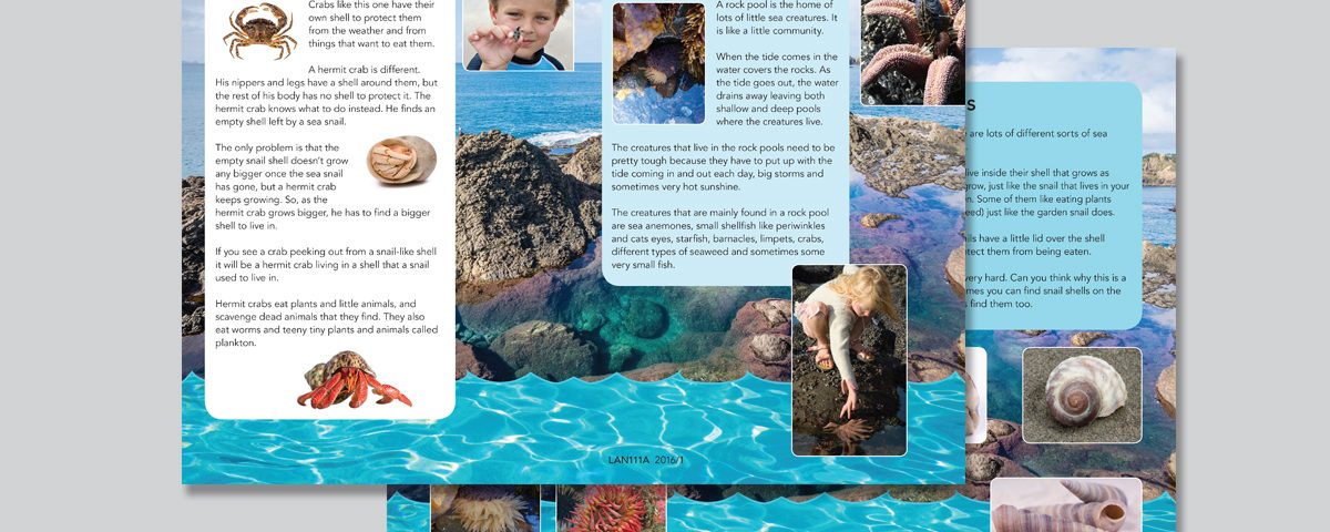 LAN Educational Resource