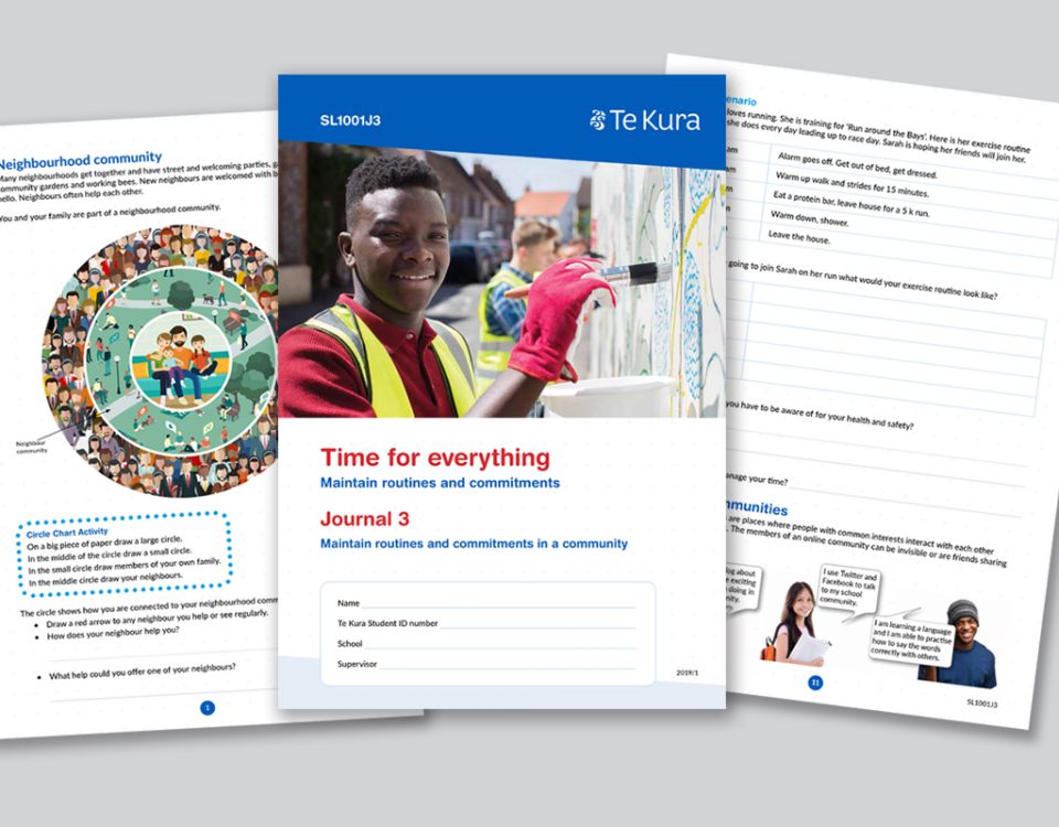 Learning Resource, Te Kura