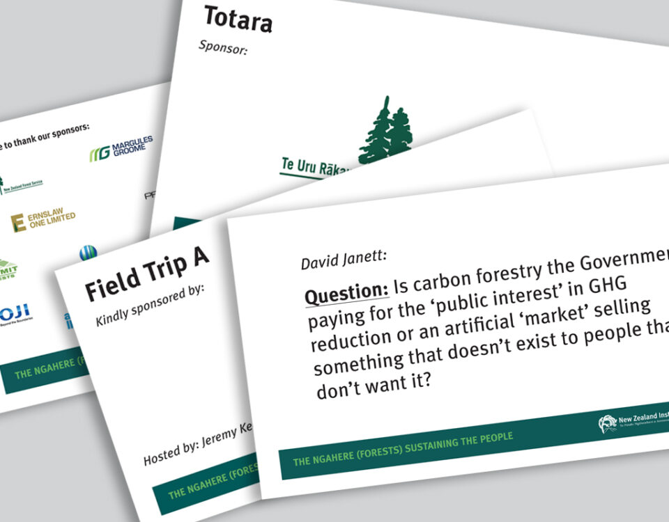 Slide show presentations