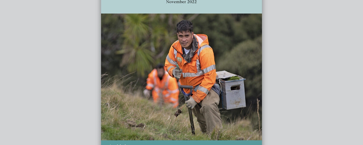 Journal design – NZIF Journal of Forestry