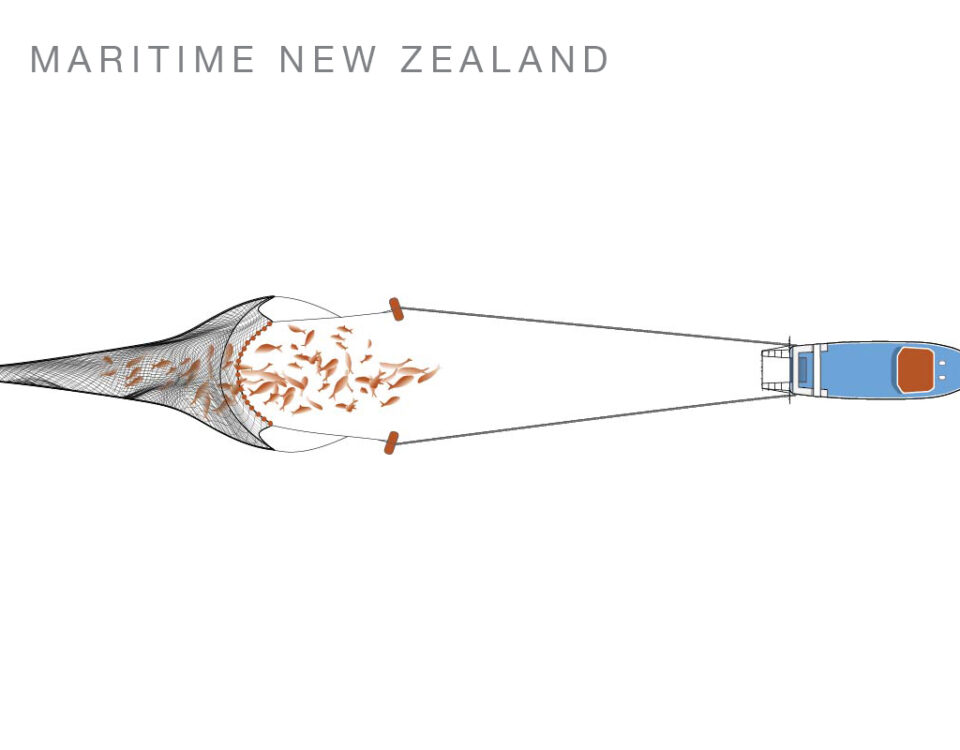 Digital illustration – semi technical