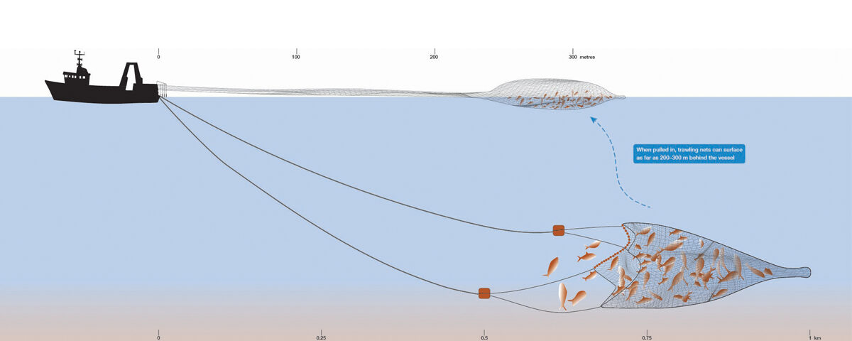 Digital illustration – trawling