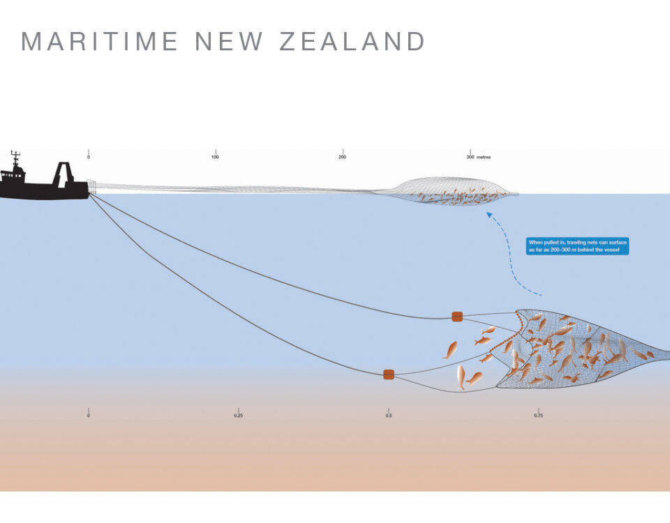 Digital illustration – trawling